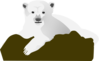 Polar Bear On A Rock Clip Art